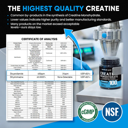 Micronized Creatine Monohydrate Powder – 60 Servings
