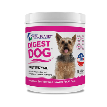 Digest Dog Daily Enzyme 3.92 Oz. Powder (Beef Flavor)-Pet Supplements-AlchePharma