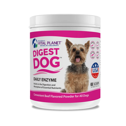 Digest Dog Daily Enzyme 3.92 Oz. Powder (Beef Flavor)-Pet Supplements-AlchePharma