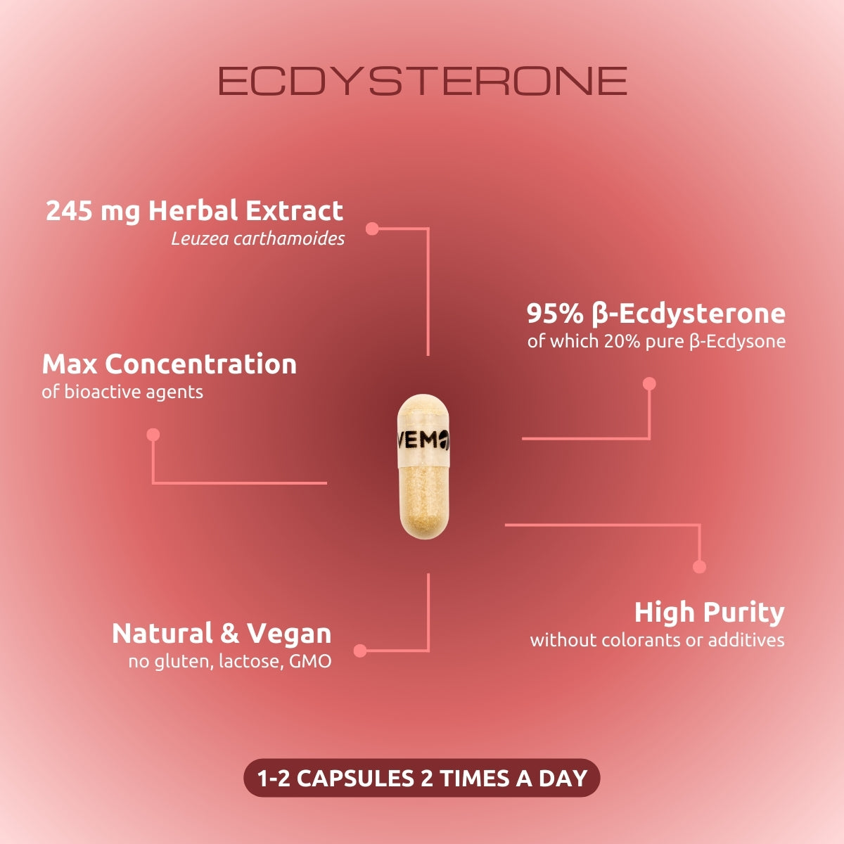 Ecdysterone - Maral Root /Leuzea Extract - 90 capsules