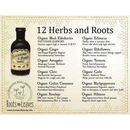 Elderberry & Honey Tonic, 16 oz-AlchePharma