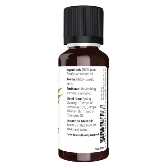 Eucalyptus Radiata Oil-Aromatherapy-AlchePharma