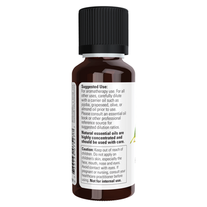 Eucalyptus Radiata Oil-Aromatherapy-AlchePharma