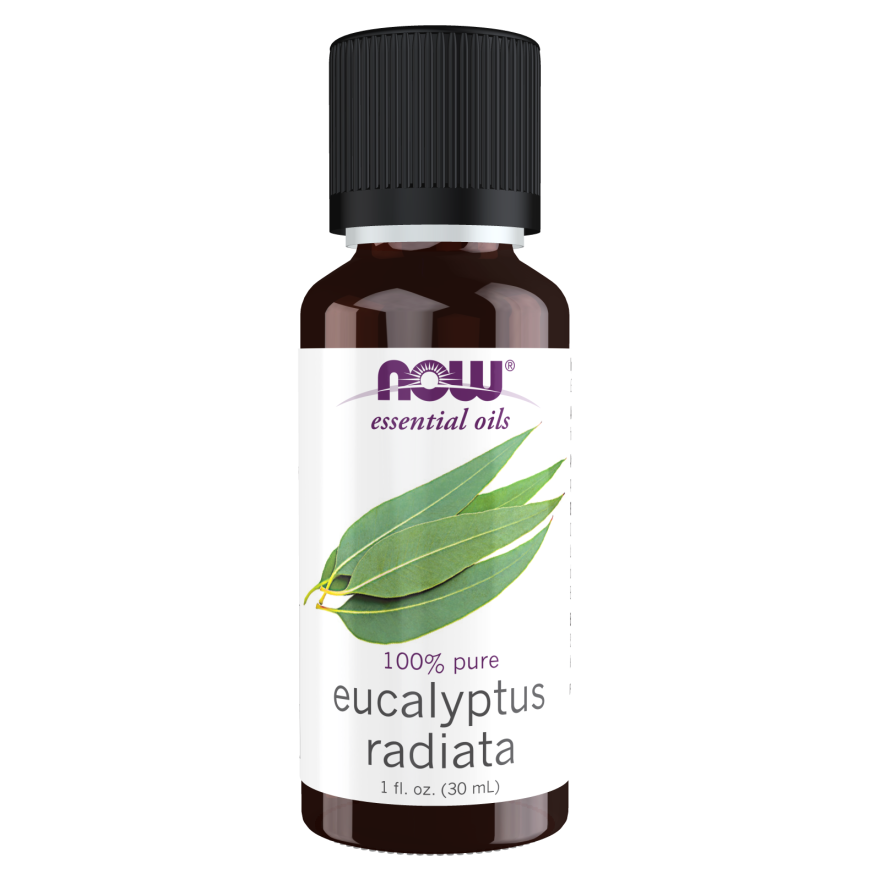 Eucalyptus Radiata Oil-Aromatherapy-AlchePharma