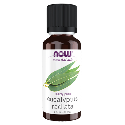 Eucalyptus Radiata Oil-Aromatherapy-AlchePharma