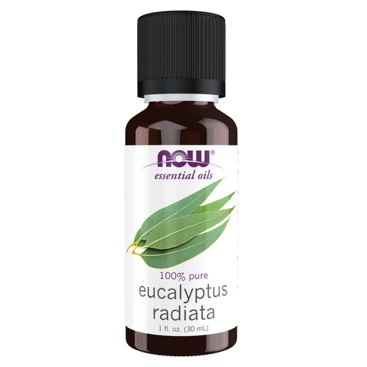 Eucalyptus Radiata Oil-Aromatherapy-AlchePharma