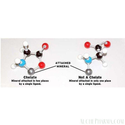 AP Gold Standard Albion Chelazome Magnesium 90 Tablets. - AlchePharma