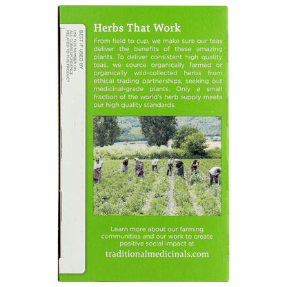 Green Tea - Peppermint, Organic-Herbal Teas-AlchePharma