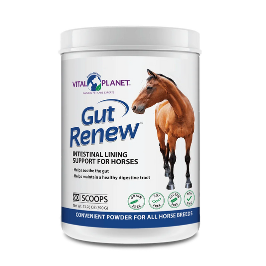 Gut Renew 13.76 Oz Powder (Intestinal Lining Support for Horses)-Pet Supplements-AlchePharma