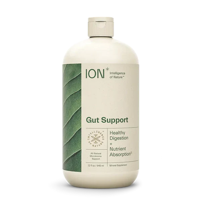 Gut Support - Healthy Digestion + Nutrient Absorption Liquid-Digestive Support-AlchePharma