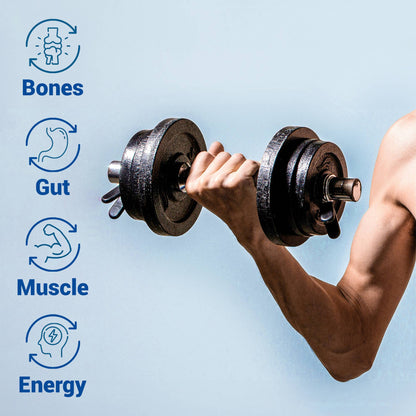 HARMONIFY BPC-157 Blend – with Creatine Monohydrate, Collagen Peptides & Magnesium – 60 Capsules | Muscle Recovery, Joint & Gut Health Support | 1000mg Per Serving | Made in USA-AlchePharma