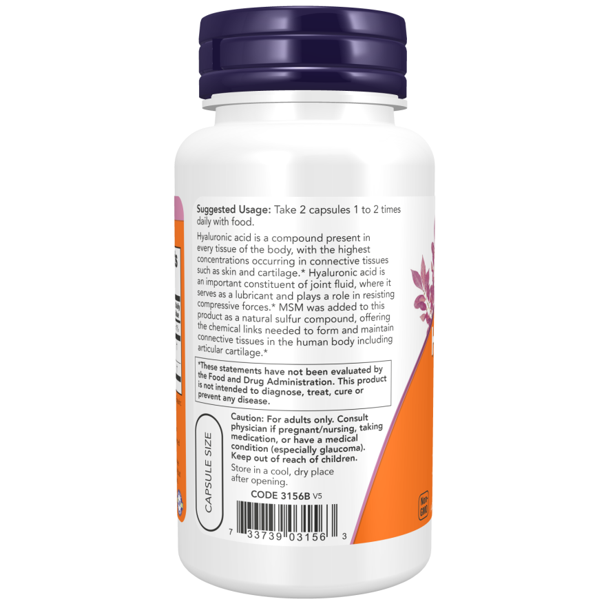 HYALURONIC ACID 50MG + MSM 120 VCAPS-Joint Products-AlchePharma
