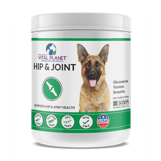 Hip & Joint Support for Dogs 3.92 Oz. Powder-Pet Supplements-AlchePharma