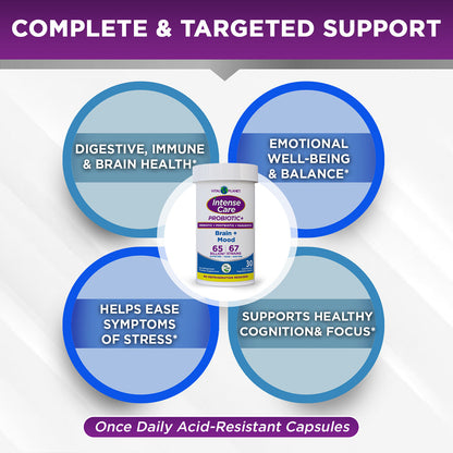 Intense Care Brain + Mood Probiotic-Brain-AlchePharma