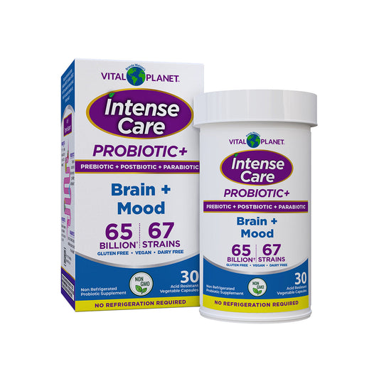 Intense Care Brain + Mood Probiotic-Brain-AlchePharma