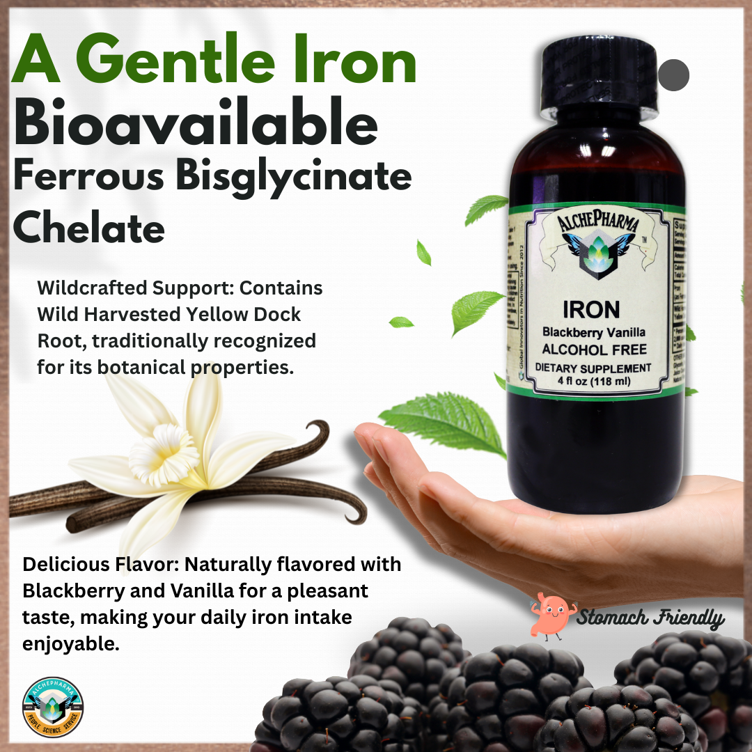 Iron Liquid ( Gentle High Absorption Ferrous Bisglycinate Chelate) Blackberry Vanilla 4 fl oz 24 servings-Minerals-AlchePharma