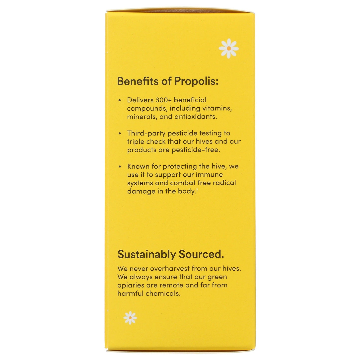 Kid's Propolis Cough Syrup 4 FL. Oz.-Kid's Support-AlchePharma