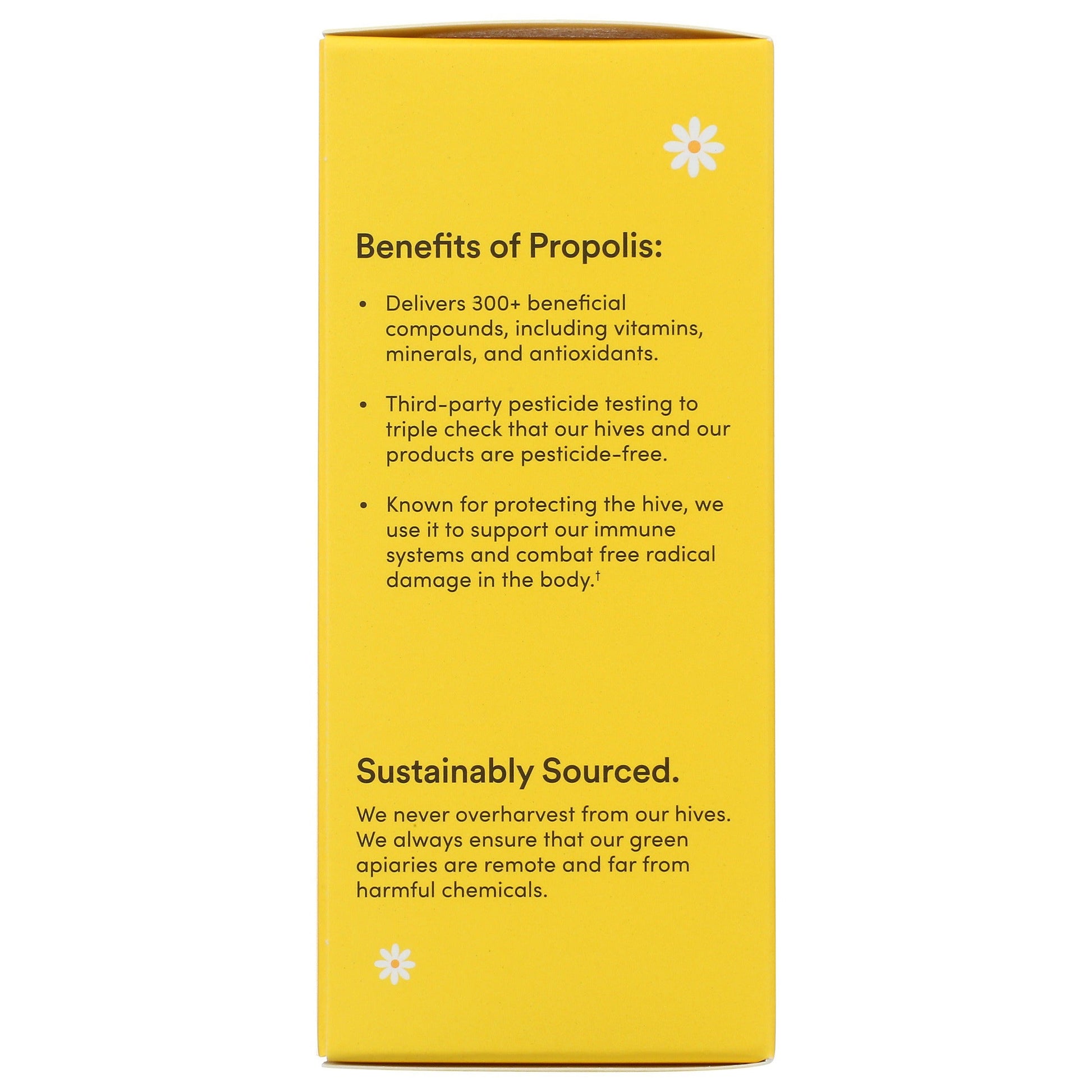 Kid's Propolis Cough Syrup 4 FL. Oz.-Kid's Support-AlchePharma