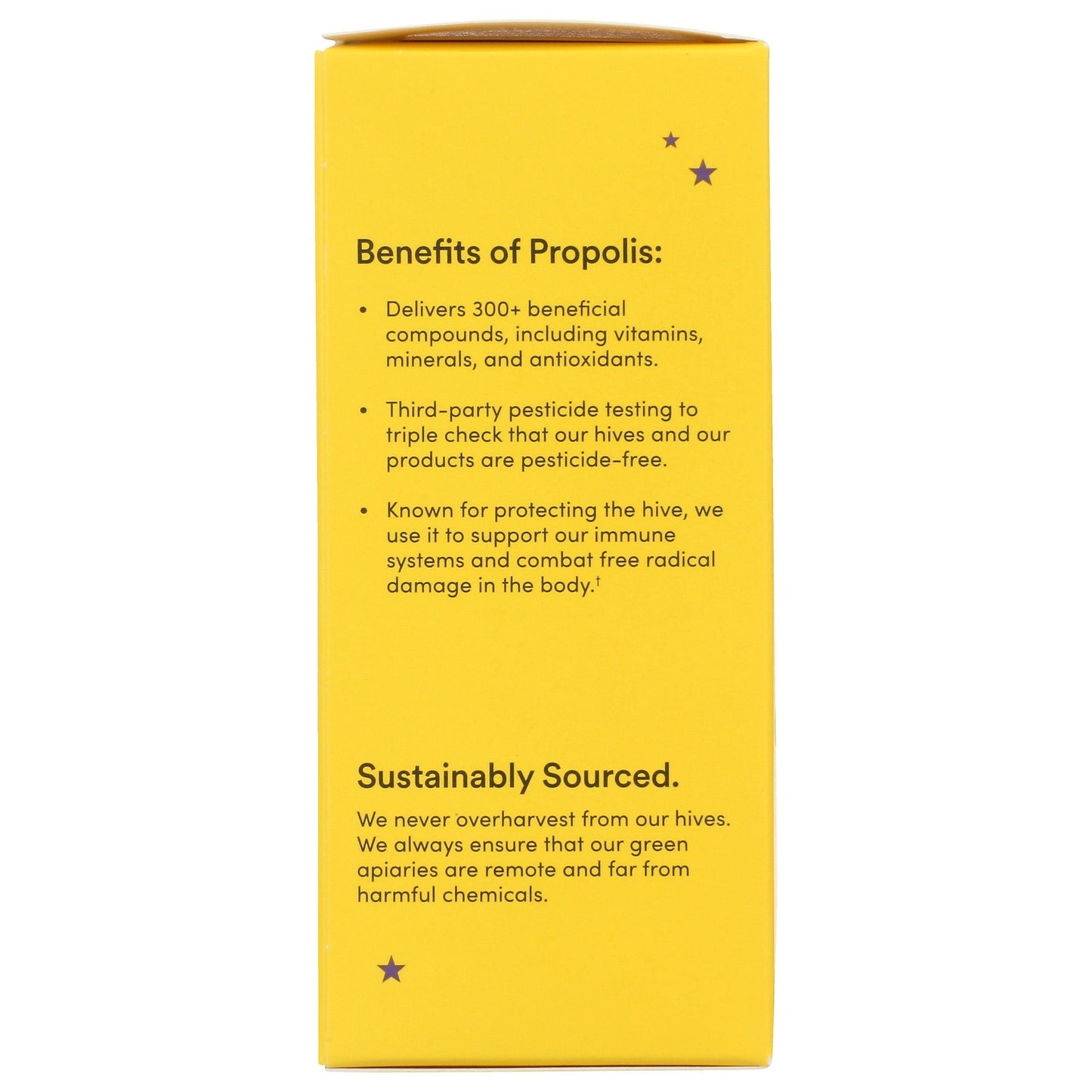 Kid's Propolis Cough Syrup 4 FL. Oz. - Nighttime-AlchePharma