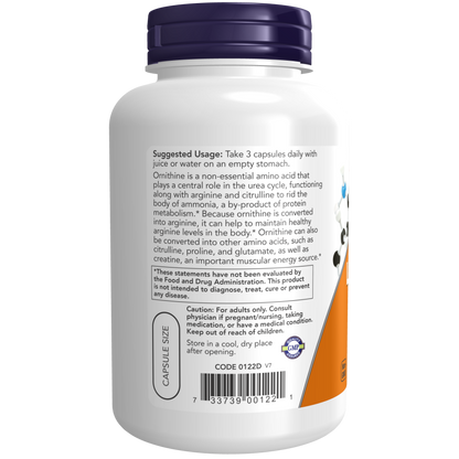 L-Ornithine 500 mg Veg Capsules-Amino Acids-AlchePharma