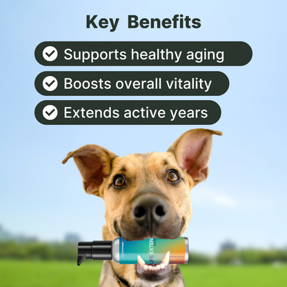 Life Extend (Life Extension - Liquid Health Pet Food Topper)-Pet Supplements-AlchePharma