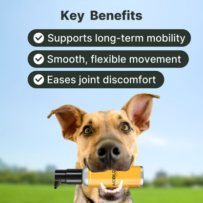 Mobilize (Joint Health - Liquid Health Pet Food Topper)-Pet Supplements-AlchePharma