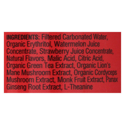 Odyssey 222 (Energy + Focus) with Lion's Mane & Cordyceps-Energy Drink-AlchePharma
