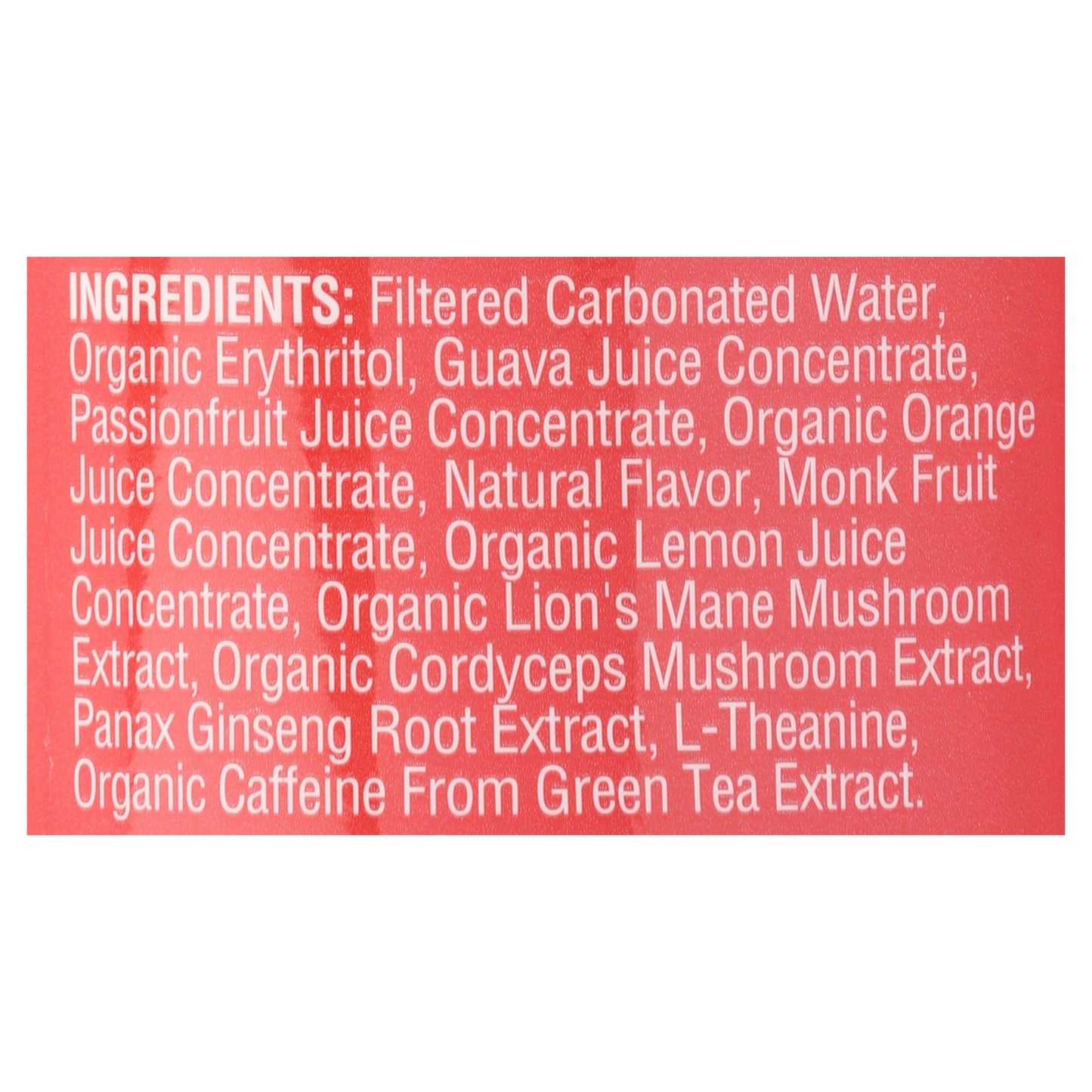Odyssey Mushroom Elixir (Energy + Focus) with Lion's Mane and Cordyceps-Energy Drink-AlchePharma