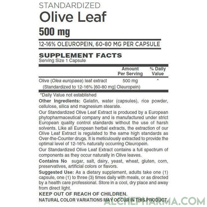 Olive Leaf Extract-500mg European Standardized to 12%-16% oleuropein (60-80mg per capsule)-Herbs-AlchePharma