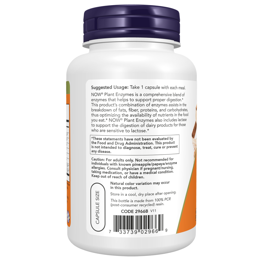 Plant Enzymes Veg Capsules-Digestive Support-AlchePharma