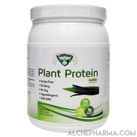 Plant Protein ( Premium Blend ) - No Soy, Hypoallergenic, No Grit ( Featuring Omega 3 Rich Sacha Inchi and Chia )-AlchePharma