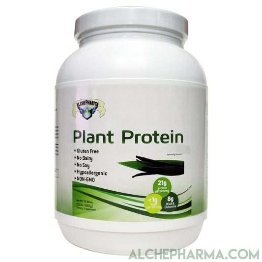 Plant Protein ( Premium Blend ) - No Soy, Hypoallergenic, No Grit ( Featuring Omega 3 Rich Sacha Inchi and Chia )-AlchePharma