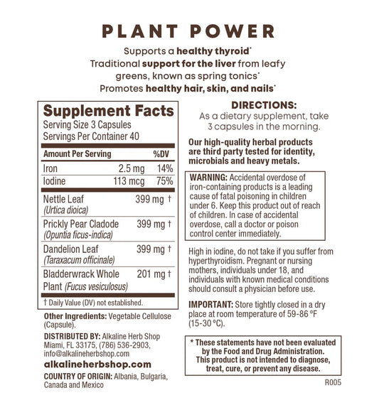 Plant Power Supplement - Chlorophyll Blend - 120 Capsules