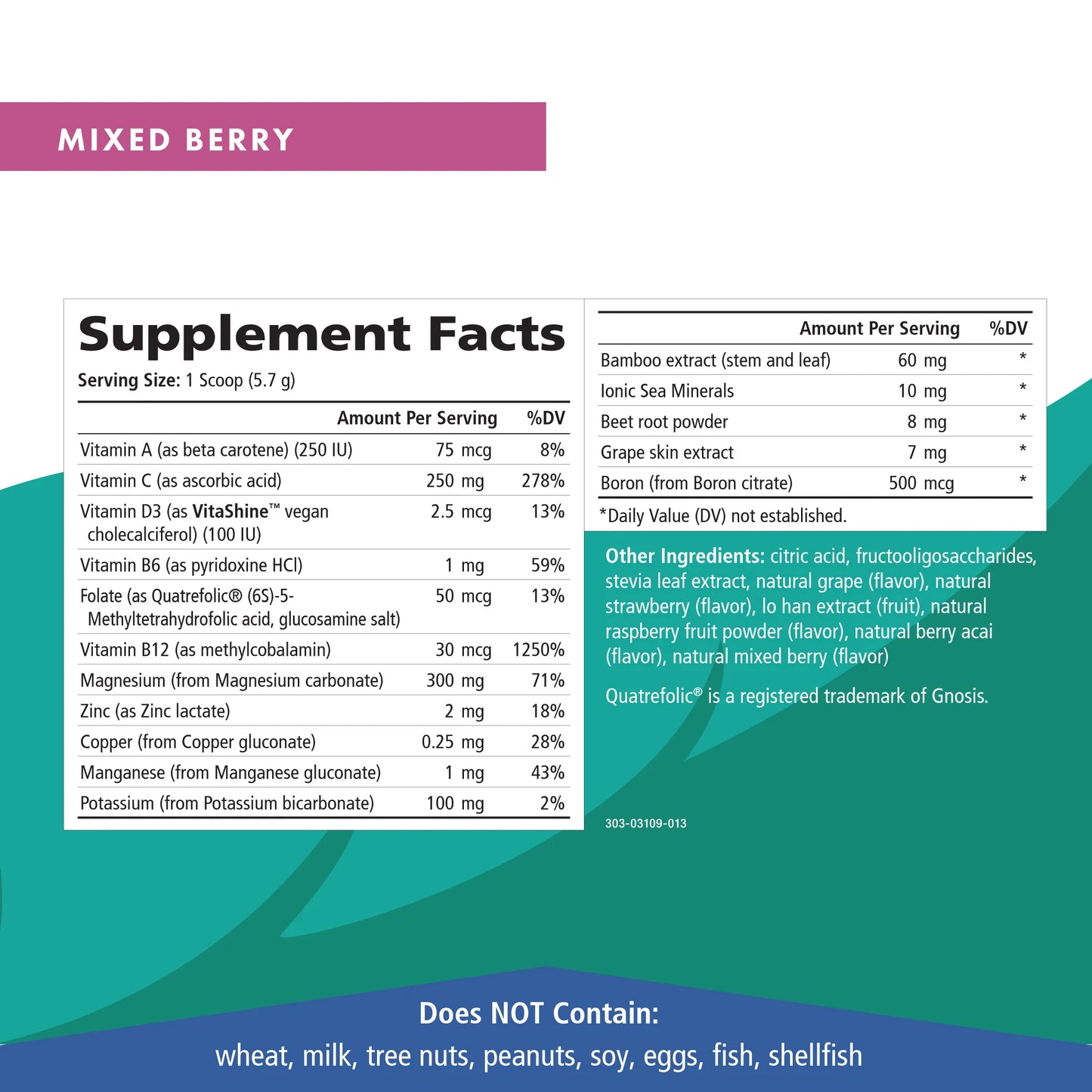 Ionic-Fizz Magnesium Plus - Relaxing, Anti-Stress Beverage Mix