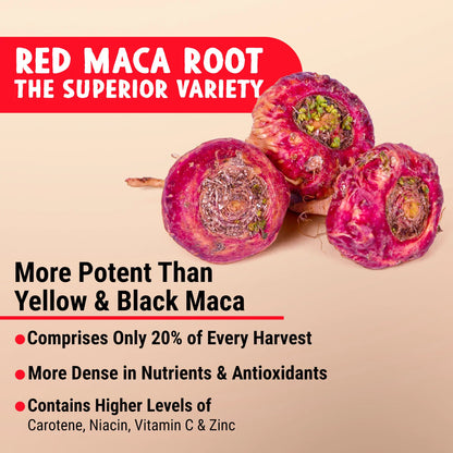 MAJU Organic Red Maca Root Capsules 120ct
