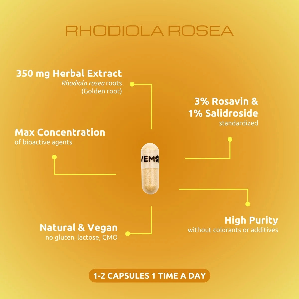 Rhodiola Rosea - 90 capsules