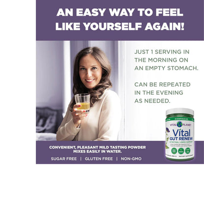 Vital Gut Renew 390g