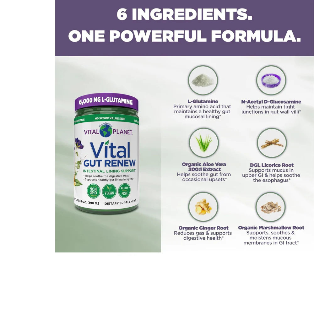 Vital Gut Renew 390g