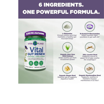 Vital Gut Renew 390g