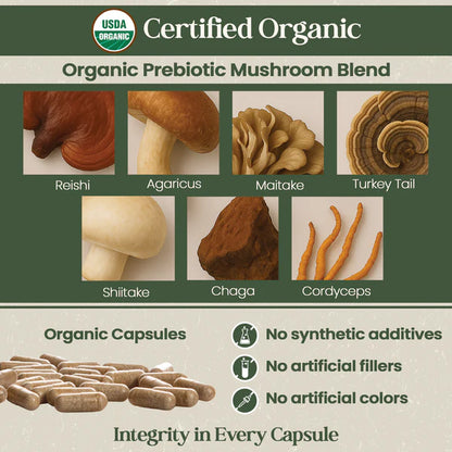Organic Flora Senior’s Daily Probiotic Supplement