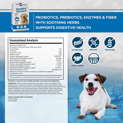 Sensitive Stomach - Chews, 60ct-Prebiotic-AlchePharma