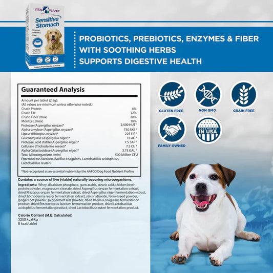 Sensitive Stomach - Chews, 60ct-Prebiotic-AlchePharma