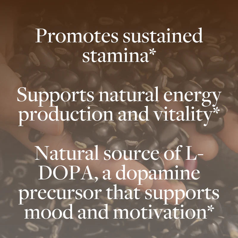 Regenerative Energy (60 ct)
