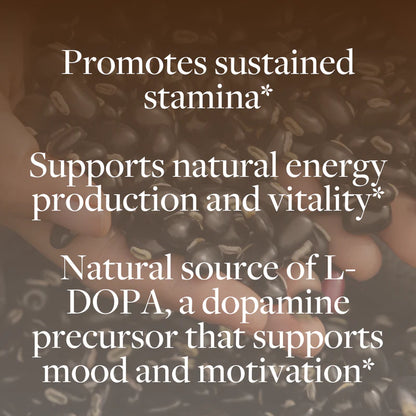 Regenerative Energy (60 ct)