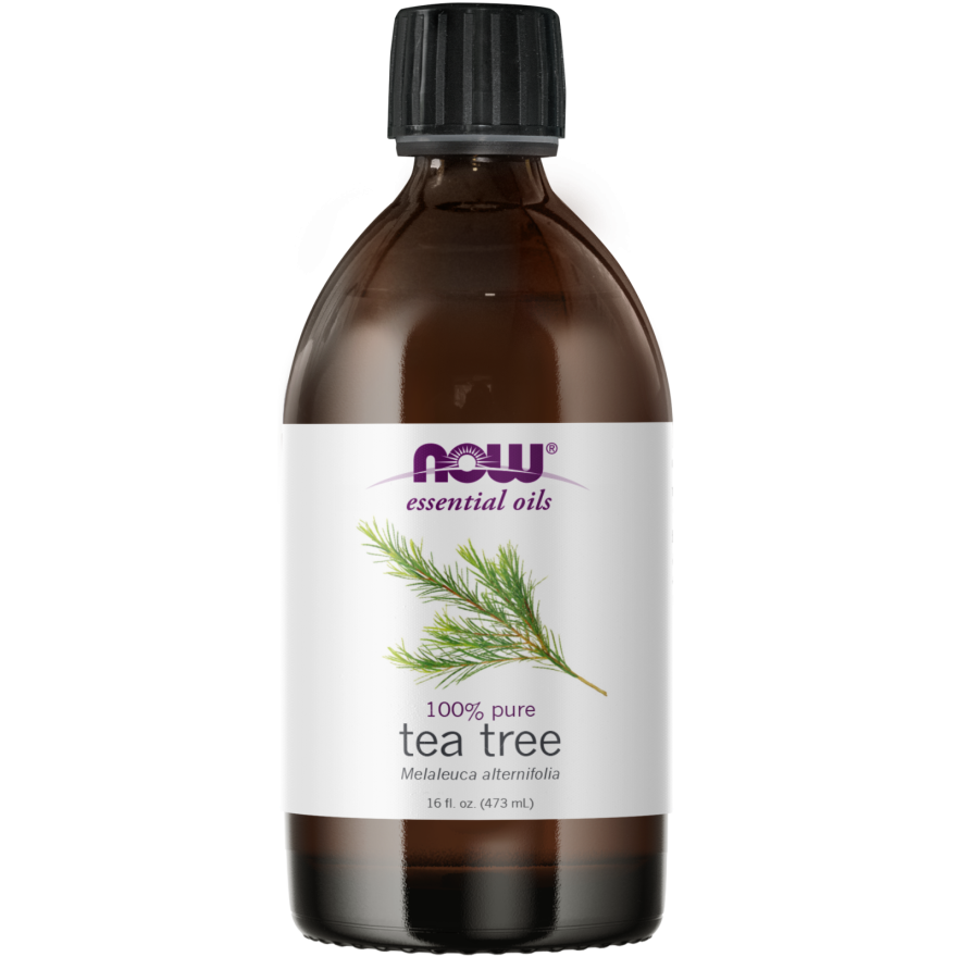 Tea Tree Oil-Aromatherapy-AlchePharma