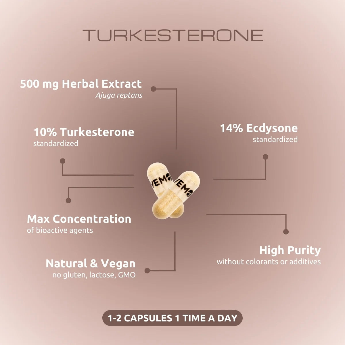 Turkesterone - 60 capsules