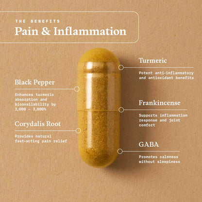 Pain & Inflammation - 30 Veggie Capsules