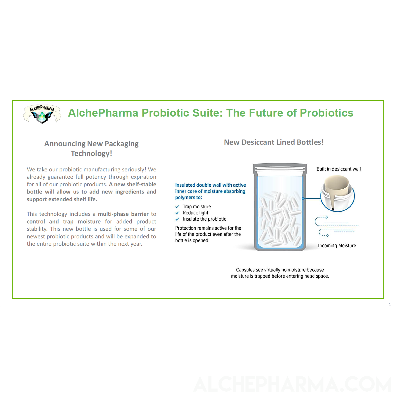 Urinary Formula - 50 Billion Probiotic Multi Strain w/Pre-Biotic and Cran-Max®️-Probiotics-AlchePharma