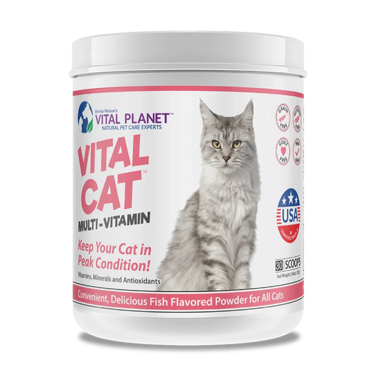 Vital Cat Multi-Vitamin 2.64 Oz. Powder (Fish Flavored)-Pet Supplements-AlchePharma