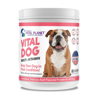 Vital Dog Multi-Vitamin 2.64 Oz. Powder (Beef Flavored)-Pet Supplements-AlchePharma
